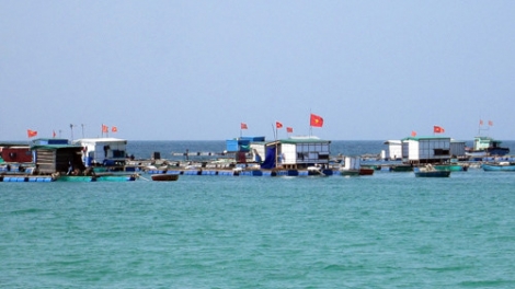 Lý Sơn “tiến thoái, lưỡng nan” với nghề nuôi trồng thủy sản (5/4/2017)