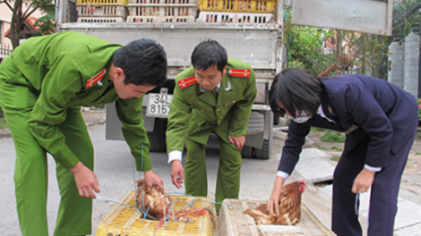 Quảng Ninh: Kiểm soát dịch ngay từ các chợ vùng biên (02/5/2017)