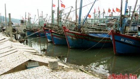Ngư dân huyện Quỳnh Lập, Nghệ An mạnh dạn đầu tư tàu công suất lớn để chuyển đổi nghề khai thác (10/4/2017)