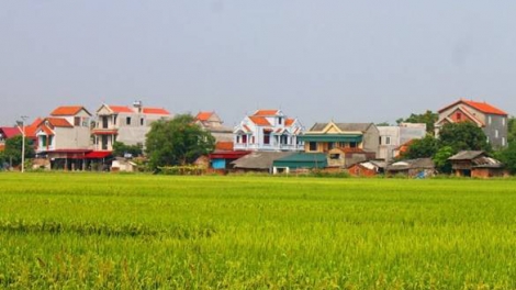 Vĩnh Phúc: Người dân đồng lòng xây dựng nông thôn mới (31/5/2017)