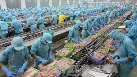 Nâng cao sức cạnh tranh cho ngành thủy sản (13/5/2017)