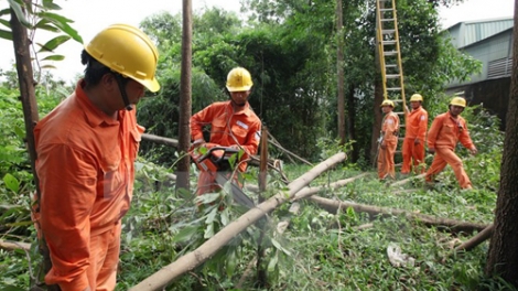 Tổng công ty Điện lực thành phố Hà Nội tập trung các giải pháp bảo đảm an toàn hành lang lưới điện trước mùa mưa bão. (11/5/2017)