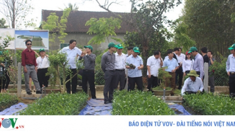 Hà Tĩnh: Những vùng quê đáng sống (9/5/2017)