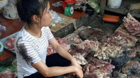 Uỷ ban nhân dân thành phố Hải Phòng họp báo công bố thông tin chính thức về vụ việc cản trở, hất chất bẩn vào quầy kinh doanh thịt lợn tại chợ Lương Văn Can, quận Ngô Quyền (Thời sự trưa 13/5/2017)