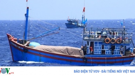 Đấu tranh với tình trạng ngư dân Việt Nam bị bắt giữ, bắt đầu từ nhận thức của ngư dân (2/6/2017)