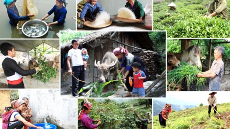 Giảm nghèo, đừng để tái nghèo (19/6/2017)