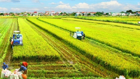 Cần một cú huých thực chất (24/6/2017)