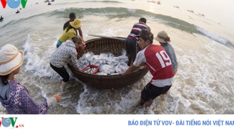 Trong khi các tỉnh Hà Tĩnh, Quảng Bình đang khẩn trương hoàn thành việc chi trả đền bù sự cố ô nhiễm môi trường biển thì tại tỉnh Quảng Trị, công tác này hiện đang gặp nhiều vướng mắc (Thời sự đêm 27/6/2017)