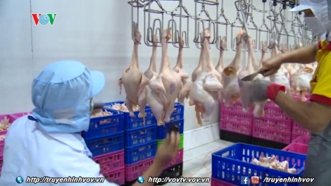 An toàn vệ sinh thực phẩm: Kỳ vọng và những giải pháp (9/6/2017)