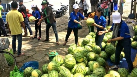 Sau giải cứu nông sản, cần "giải cứu" tư duy quản lý (03/6/2017)