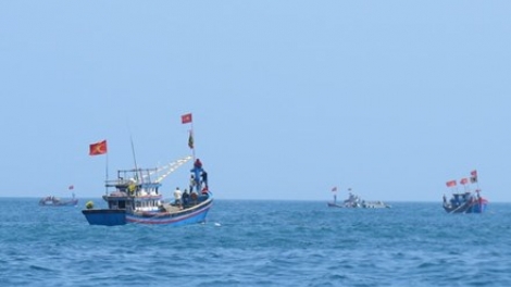 Tàu cá Việt Nam đánh bắt trái phép ở vùng biển nước ngoài: Trách nhiệm của cơ quan quản lý và chính quyền địa phương? (18/6/2017)
