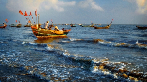 Cấm đánh bắt vào mùa sinh sản- thực tiễn áp dụng ở nước ta (17/7/2017)