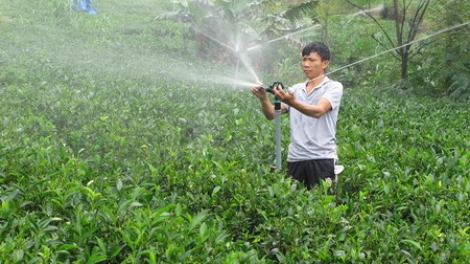 Ứng dụng khoa học công nghệ để phát huy giá trị đặc sản địa phương (14/7/2017)