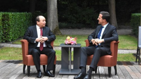 Thủ tướng Nguyễn Xuân Phúc hội đàm với Thủ tướng Hà Lan Mark Rutte. Hai bên ra Tuyên bố chung khẳng định quyết tâm đưa quan hệ hai nước phát triển đi vào chiều sâu và bền vững. (Thời sự chiều 11/7/2017)
