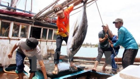 Phát triển kinh tế biển, bài toán còn nhiều thách thức (02/7/2017)
