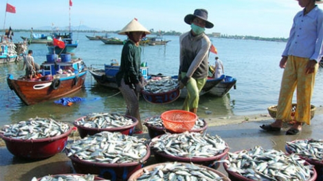 Cần có giải pháp bảo tồn trong khai thác thủy sản (10/7/2017)