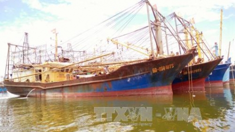 Vướng mắc trong sửa chữa tàu vỏ thép đóng theo Nghị định 67 bị hư hỏng (19/7/2017)