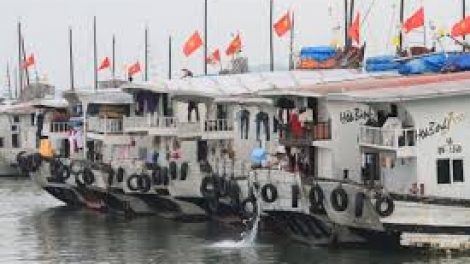 Tàu thuyền xả dầu thừa làm ô nhiễm môi trường biển, gây tác hại đến nguồn lợi thủy sản (30/7/2017)