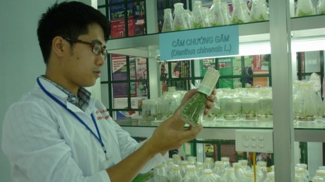 Ứng dụng khoa học công nghệ để phát triển dược liệu trong nước (07/7/2017)