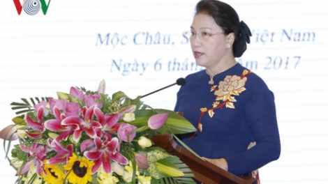 Quốc hội tập trung giám sát trong lĩnh vực đất đai (10/7/2017)