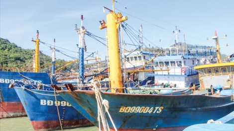 Sửa đổi Nghị định 67-ngư dân được hỗ trợ một lần sau đầu tư (6/8/2017)