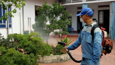 Số ca mắc bệnh sốt xuất huyết tại thành phố Hà Nội đã có xu hướng giảm (20/8/2017)
