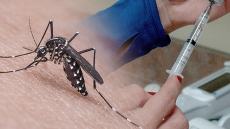 Viện Pasteur thành phố Hồ Chí Minh cho biết sắp kết thúc quá trình thử nghiệm loại vắc-xin phòng bệnh sốt xuất huyết (Thời sự đêm 3/8/2017)