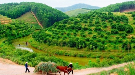 Chia sẻ kinh nghiệm trong hành trình khởi nghiệp (24/8/2017)