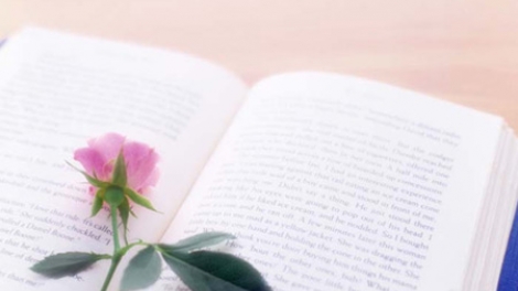 Chị Hương Lan- Tình yêu dành cho thơ ca và những nỗ lực vượt lên số phận để thực hiện ước mơ của mình  (8/8/2017)