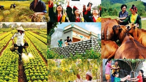 Đầu tư giảm nghèo, gắn quyền lợi với trách nhiệm người dân (22/8/2017)