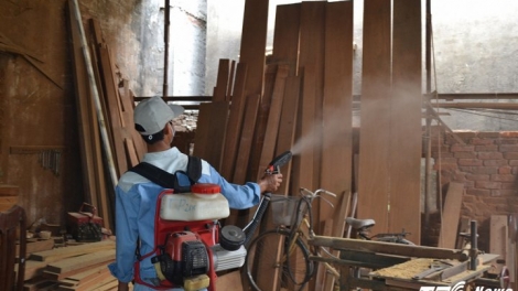 Từ ngày mai, toàn thành phố Hà Nội sẽ ra quân tổng vệ sinh môi trường, phun thuốc diệt muỗi trên diện rộng (Thời sự đêm 11/8/2017)