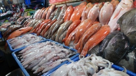 Chất lượng hải sản: Nút thắt ở khâu thu hoạch, bảo quản (13/8/2017)