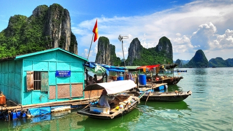 Ngư dân trên vịnh Hạ Long: Sinh kế bền vững nhờ sống hài hòa với biển (25/8/2017)