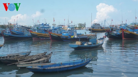 Hệ quả của tình trạng thiếu lao động nghề biển (30/8/2017)