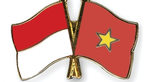 Làm sâu sắc hơn quan hệ Đối tác chiến lược Việt Nam - Indonesia (22/8/2017)
