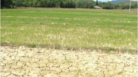 Coi hạn mặn là lợi thế, là cơ hội để phát triển bền vững khu vực Đồng bằng sông Cửu Long. (27/9/2017)