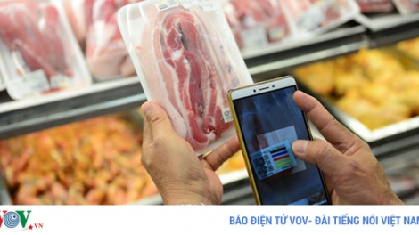 Bà Rịa – Vũng Tàu: Người chăn nuôi chưa mặn mà với đề án truy xuất nguồn gốc thịt heo (4/9/2017)