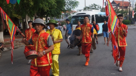 Sau gần 3 tháng bị đình chỉ, vòng loại và chung kết lễ hội chọi trâu Đồ Sơn tiếp tục diễn ra với nhiều thay đổi về quy mô và cách tổ chức (Thời sự trưa 28/9/2017)