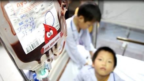 Dự trữ nhóm máu O đang cạn dần, Viện Huyết học truyền máu Trung ương kêu gọi người dân hiến máu cứu người (Thời sự đêm 06/01/2018)