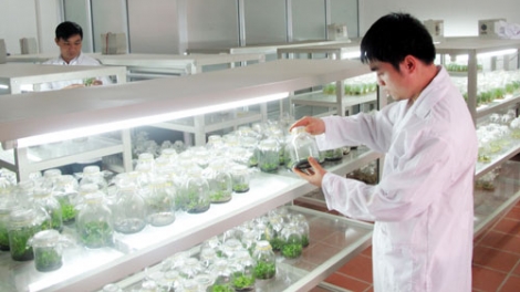 Năm 2018: Khoa học công nghệ cần giải quyết những vấn đề mang tính thời sự, cấp thiết của cuộc sống (12/01/2018)