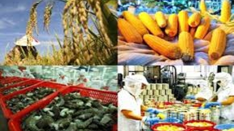 Gỡ nút thắt chế biến: Giải pháp then chốt thúc đẩy xuất khẩu nông sản năm 2018. (12/01/2018)