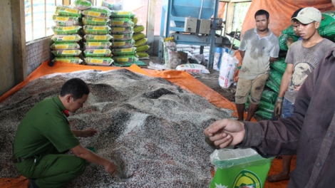 Giải pháp ngăn chặn sản xuất, tiêu thụ phân bón giả khu vực Tây Nguyên. (17/01/2018)