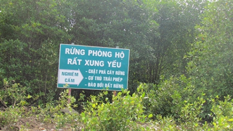 Rừng chỉ được bảo vệ khi người dân sống được từ rừng (30/01/2018)