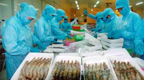 Năm 2018: Ngành thủy sản xác định mục tiêu nâng cao giá trị (12/01/2018)