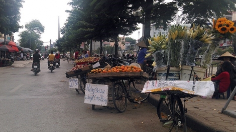 Tái diễn tình trạng lấn chiếm vỉa hè Hà Nội sau nhiều đợt ra quân rầm rộ (Thời sự trưa 13/01/2018)