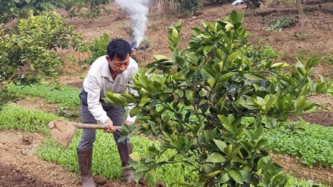 Nỗ lực xây dựng nông thôn mới nơi vùng lũ Mường La (29/1/2018)