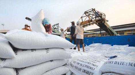Vượt qua giá gạo Thái Lan xuất khẩu, gạo Việt xác lập đỉnh cao mới (Thời sự trưa 29/1/2018)