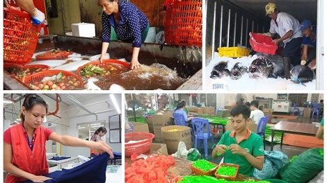 Những điểm cần lưu ý trong xuất khẩu nhìn từ thực tế 9 tháng năm nay (23/10/2018)