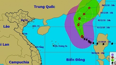 Bão số 7 đang tiến vào Biển Đông với sức gió mạnh cấp 9, giật cấp 12. Đến chiều nay, 70 nghìn phương tiện đang hoạt động trên biển đã được thông báo về diễn biến, hướng di chuyển của bão số 7 để chủ động tránh, trú (Thời sự chiều 31/10/2018)