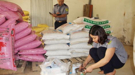 Giải pháp để phát triển bền vững ngành thức ăn chăn nuôi (4/10/2018)